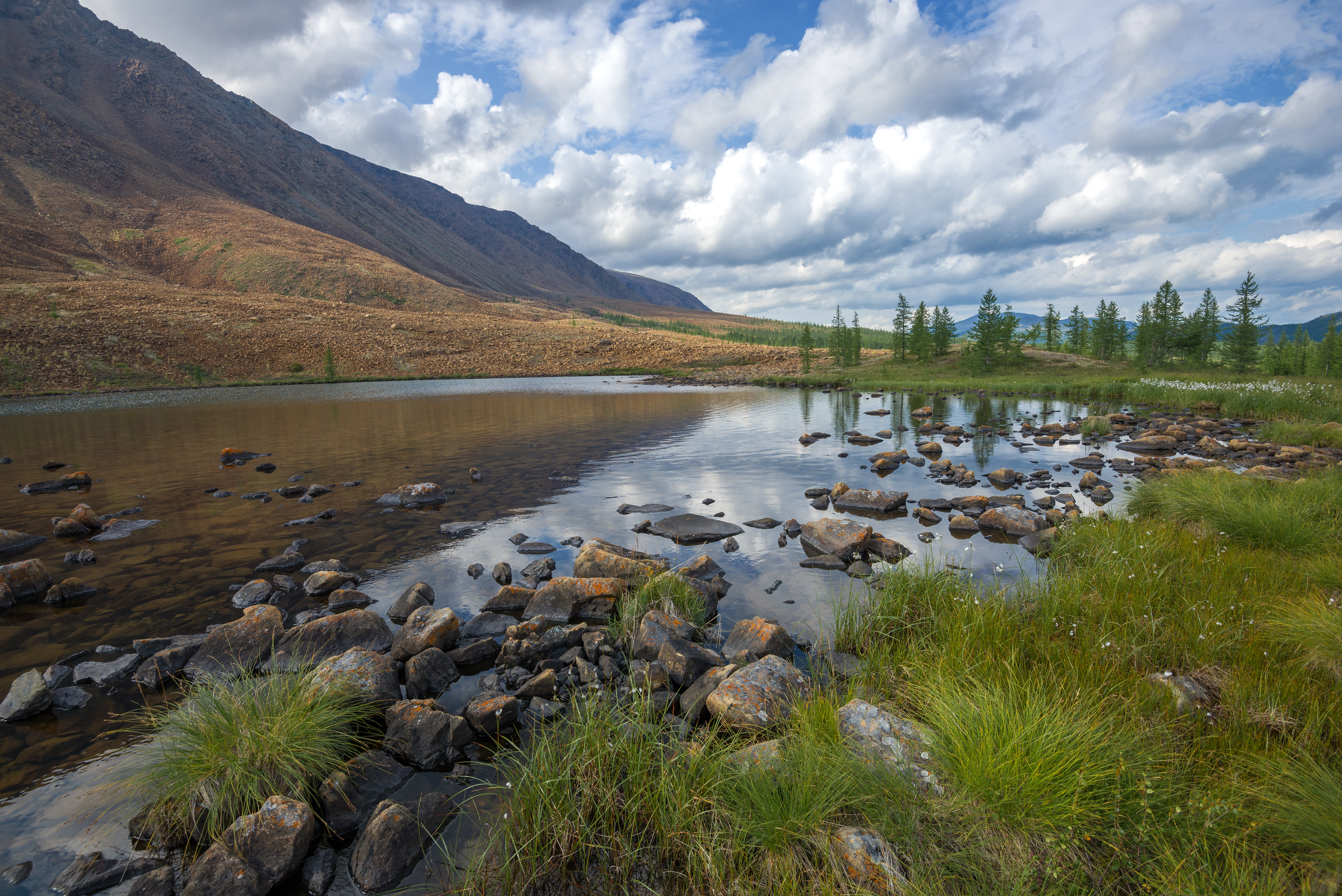 Депутат Харитонов: дальневосточные гектары получили более 160 тыс. человек